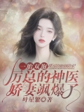 一胎双胞：厉总的神医娇妻飒爆了
