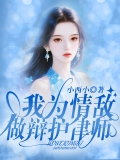 我为情敌做辩护律师