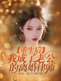 重生后，我成了老公的离婚律师