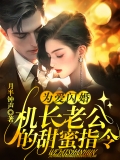 为爱闪婚:机长老公的甜蜜指令