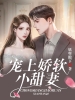 宠上娇软小甜妻