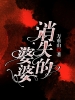 消失的婆婆