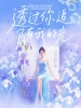 透过你追随我的光