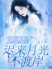 迟来月光不渡岸